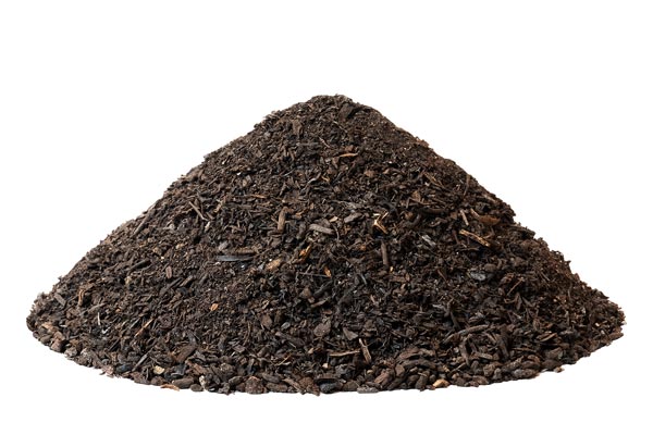 COMPOST VERDE